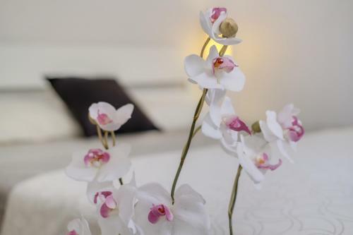 Apartamento Planta Baja