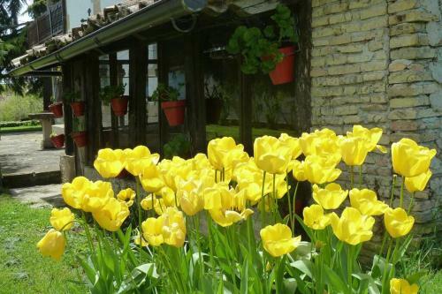 Casa Rural Mertxenea Landetxea