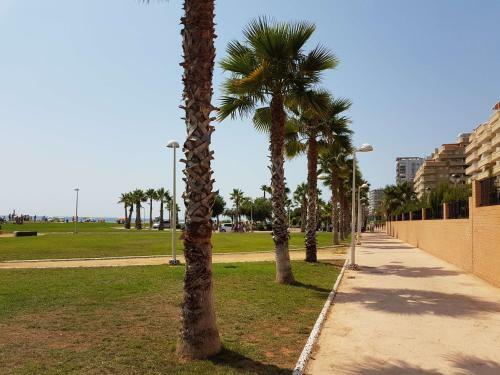 Apartamento En Primera Linea