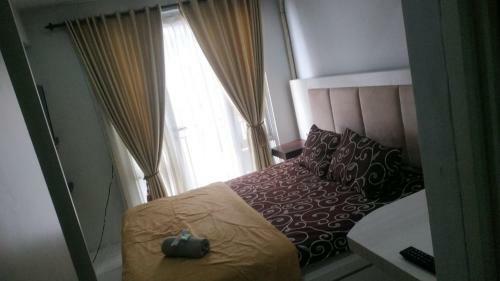 Apartamento Haola Travel