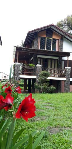 Hostal Villa Elisabeth At Villa Istana Bunga