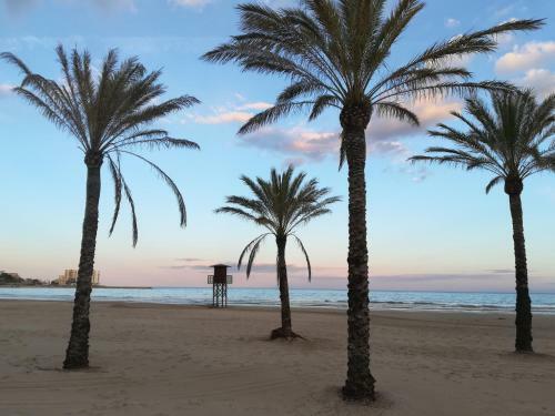 Apartamento En Florazar 2