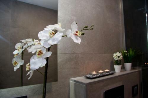 Apartamento Princesa Vut