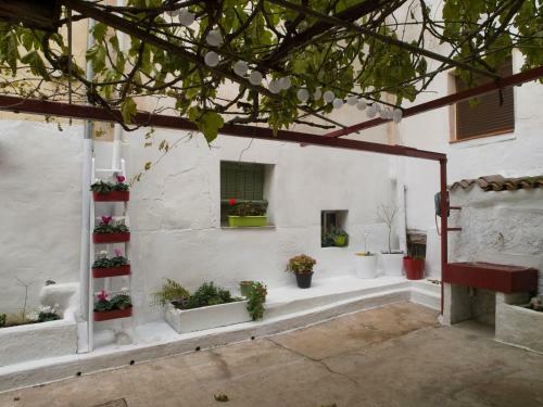 Apartamento La Casa Del Arbol