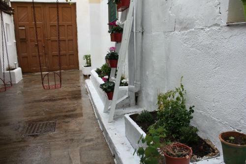Apartamento La Casa Del Arbol