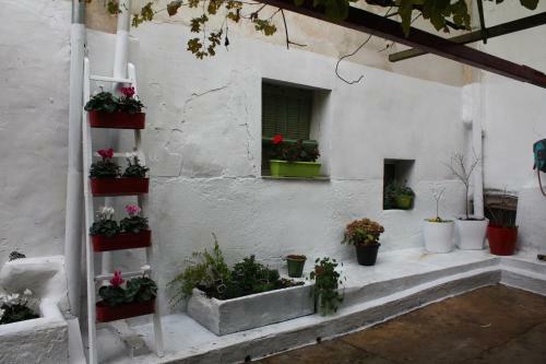 Apartamento La Casa Del Arbol