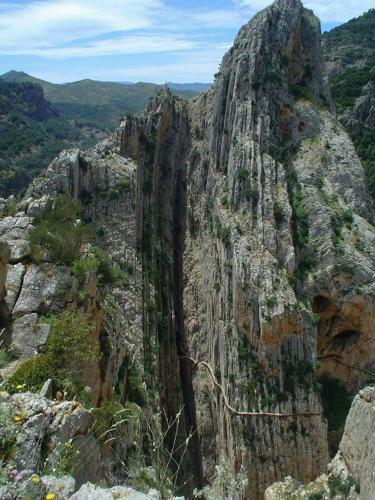 Casa Rural La Teja (caminito Del Rey)