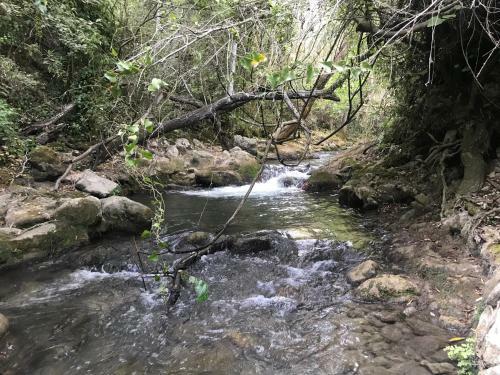 Apartamento El Bosque, Tu Entrada A La Sierra Gaditana.