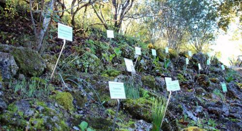 Apartamento El Bosque, Tu Entrada A La Sierra Gaditana.