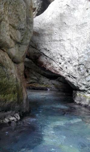 Apartamento El Bosque, Tu Entrada A La Sierra Gaditana.