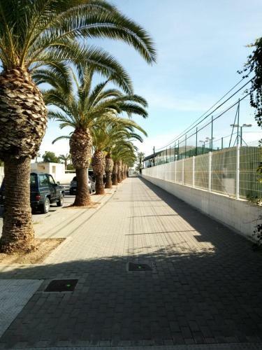 Apartamento Cl Gravina 20