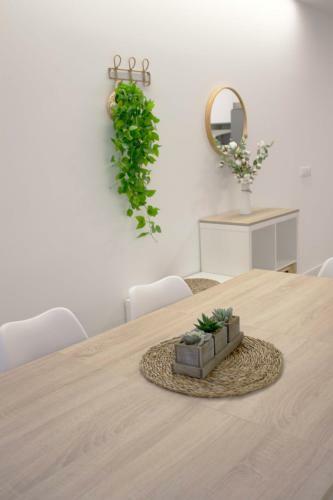 Apartamento Piso Reci�n Reformado Galiano