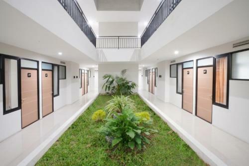 Albergue Dparagon Veteran