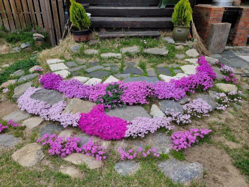 Shimtoong Family Home