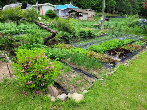 Shimtoong Family Home