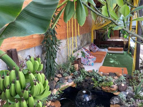 Albergue Corralejo Garden&relax