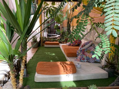 Albergue Corralejo Garden&relax