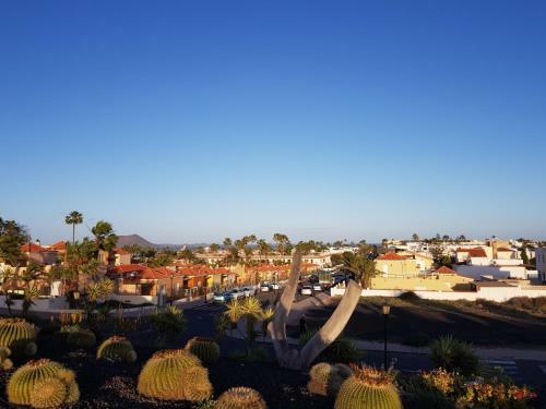Apartamento Aloha Corralejo