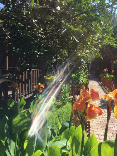 Hostal No:1281 Boutique Hotel
