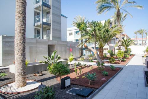 Apartment Orqu�dea