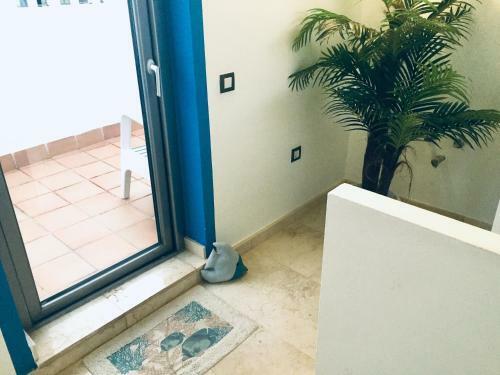 Apartamento Blue Dream Playa