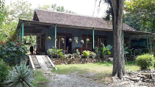Albergue Homestay Sidodadi Syariah