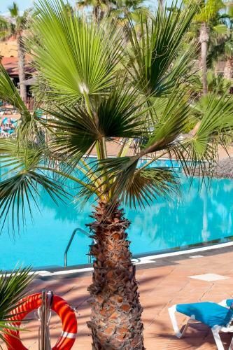 Oasis Fuerteventura Beach Apartments