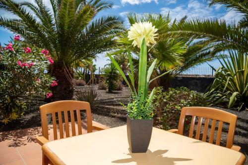 Apartamento Blu Gardenia