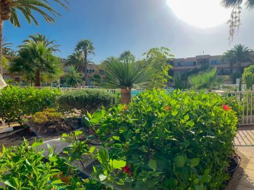 Apartamento La Primera Duna - Residencial Las Dunas