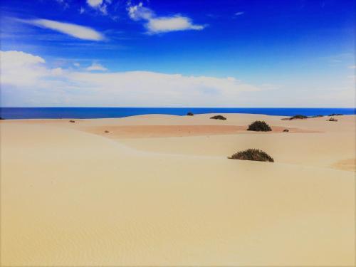 Apartamento Corralejo Sun 202
