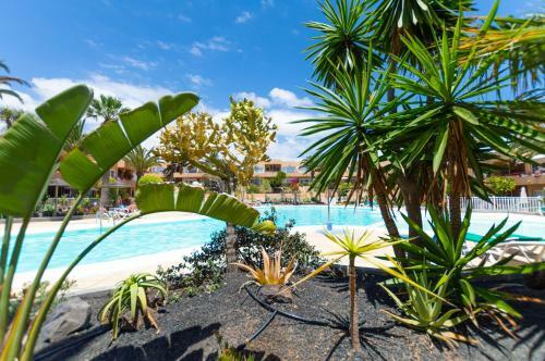 Apartamento Alicesbungalowpoolview-summer