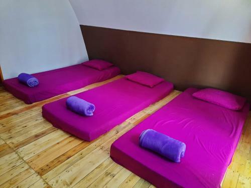 Awang Glamping