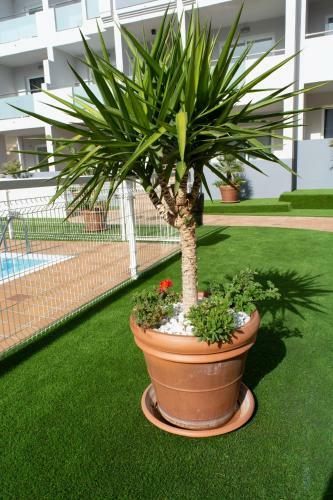 Apartamento Corralejo Tuco Sun&relax
