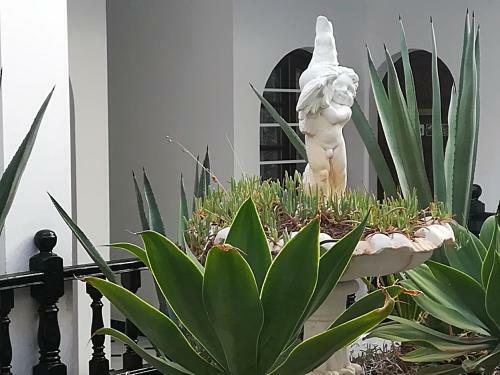 Apartamento Tropical Loft