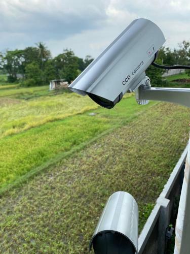 Villa Oasis Penthouse In Rice Field
