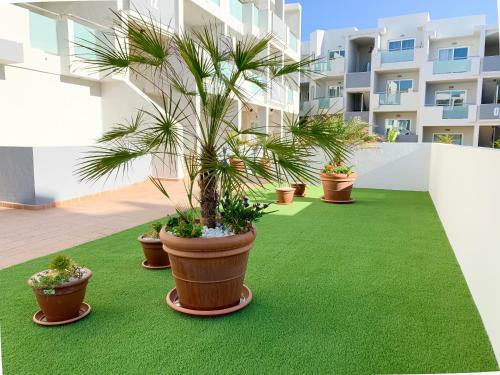 Apartamento Corralejo Sun Cerezo Pool