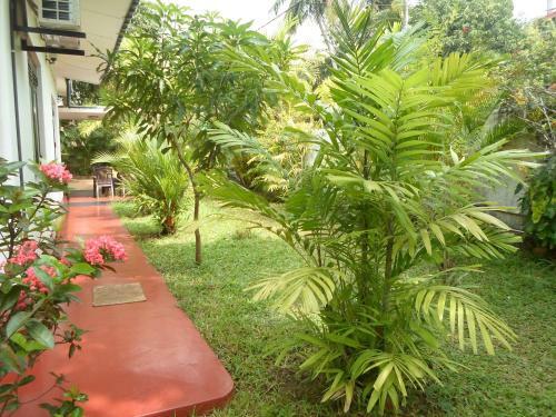 Bed & Breakfast Indrani Inn Tourist Rest