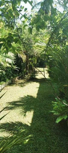 Bed & Breakfast Indrani Inn Tourist Rest