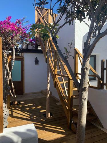 Apartamento La Tunera Fuerteventura