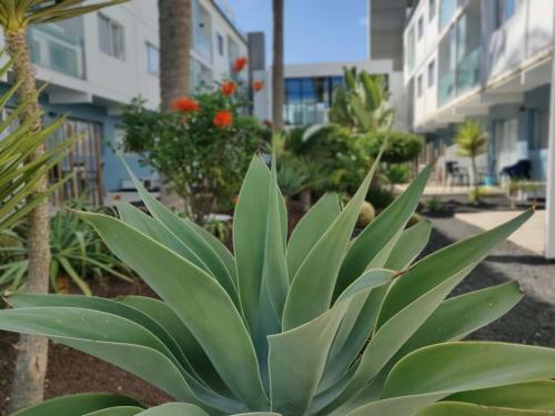 Apartamento Casa Bal�
