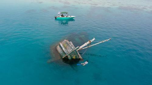 Hotel Leaf Fish Guesthouse