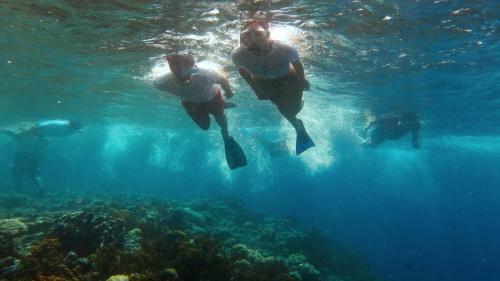 Hostal Menjangan Bali Homestay