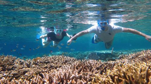 Hostal Menjangan Bali Homestay