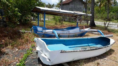 Hostal Menjangan Bali Homestay