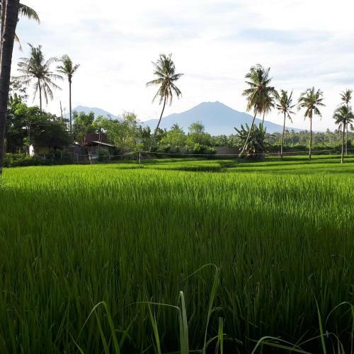 De Lungguh Homestay