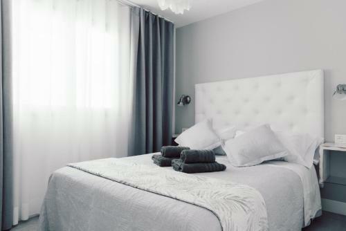 Apartment Pardela