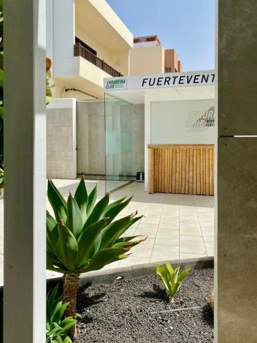 Casa Perla - Cozy Apartment Pool Side