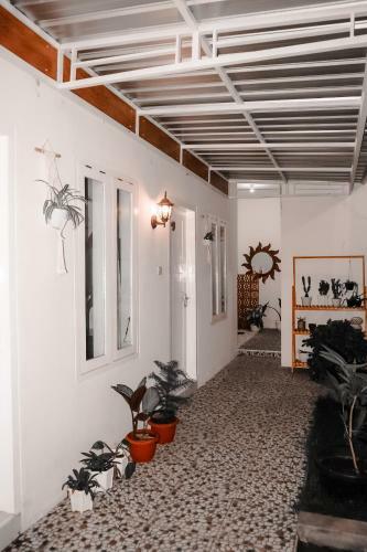Tropical Paradiso Homestay
