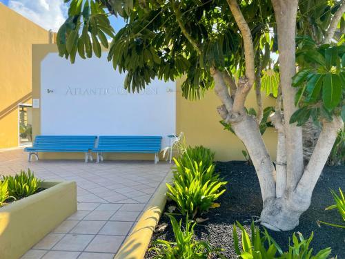Apartamento Atlantic Garden 238
