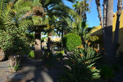 Apartamento Atlantic Garden 238